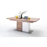 Säulentisch Lorenz 12 Sterling Oak 180(230)x77x100 cm Tisch Esstisch