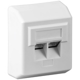goobay CAT-5e-Aufputzdose (AP), - 2x RJ45-Anschlüsse, geschirmt, Klemmleiste für werkzeugfreie LSA-Montage