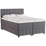 panda möbel gmbh Boxbett Avalon (3-St), 140x200, 160x200, 180x200, Boxbett mit Bettkasten und Topper grau