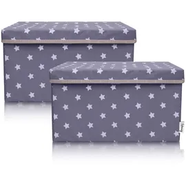 Lifeney Aufbewahrungsbox 2er Set Dunkelgrau Stern 37 x 25 x 21 cm grau
