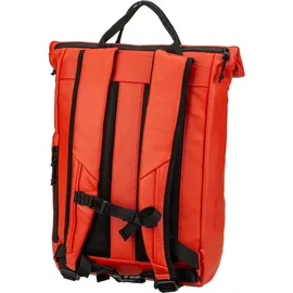 Zwei Cargo CAR260 Coral