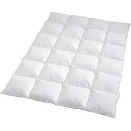 Traumschlaf Traumschlaf, Himalaya (900 g, Daune, 155 x 200 cm