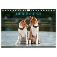 Calvendo Der Basenji (Wandkalender 2026 DIN A4 quer), CALVENDO