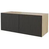 altdecor NOA-2 Lowboard 100 cm x 40 cm x 40 cm Schwarz Holz