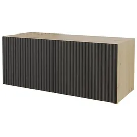 altdecor NOA-2 Lowboard 100 cm x 40 cm x 40 cm Schwarz Holz
