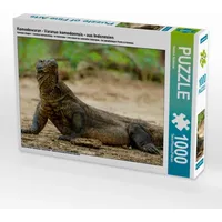 Calvendo Komodowaran - Varanus komodoensis - aus Indonesien 1000