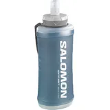 Salomon Active Handheld Schwarz