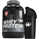 3kg Mammut Whey Protein Eiweißshake - Set inkl. Protein Shaker, Riegel, Powderbank oder Tasse Powderbank (Blueberry Cheesecake, Gratis Mammut Shaker)