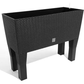 Prosperplast Rato Case High 80 x 33 x 62 cm anthrazit