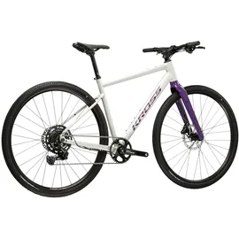 KROSS Gravelbike Esker 1.0 2026 28 Zoll RH 51 cm grau/lila