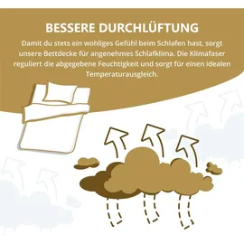 Schlafmond Sommerdecke "Der kleine Prinz" 155x220 - Beige