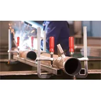 Bessey Holzgriff inkl. wechselbarer Druckplatte für TG Ausladung 140-175