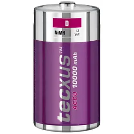 Tecxus Rechargeable D 10000 mAh 1 St.