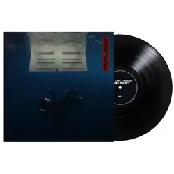 HIT ME HARD AND SOFT (Black LP)