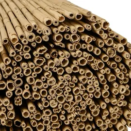 Sol Royal Sichtschutzmatte 140 x 600 cm Schilf Holz