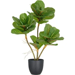 Kunstpflanze CREATIV GREEN "Ficus lyrata", grün, H:65cm, Kunststoff, Kunstpflanzen, mit Luftwurzeln