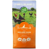 Irish Pure Freiland-Huhn Puppy