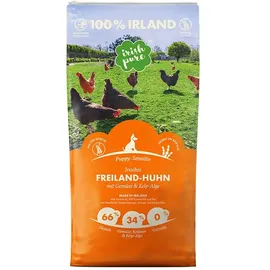 Irish Pure Freiland-Huhn Puppy