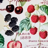 Werthers Stoffe Stoff Meterware Harvest Obst Früchte Vintage Frankreich herbstlich Dekostoff Herbststoff