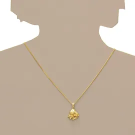Ostsee-Schmuck Kette mit Anhänger Tierkreiszeichen Stier Gold 333
