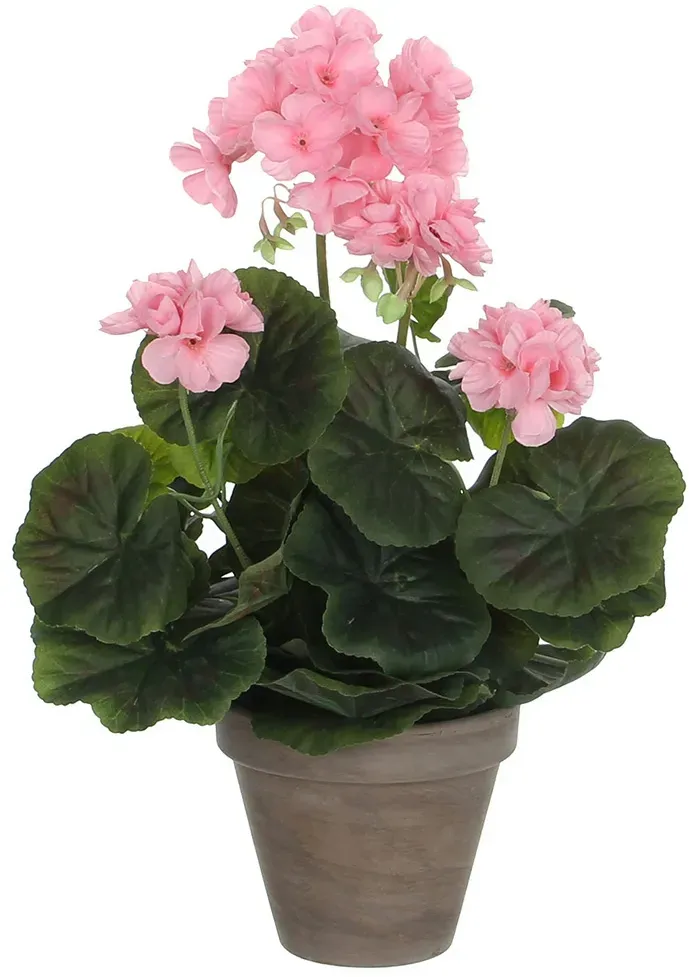 Mica Decorations Rosa Geranie Pvc mit grauem Topf