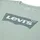 Levi's Jungen, grün, BATWING T-Shirt - 16 Jahre