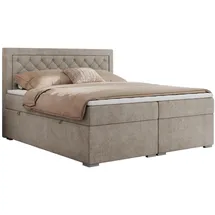 MKS Boxspringbett 160 x 200 cm H4 Beige