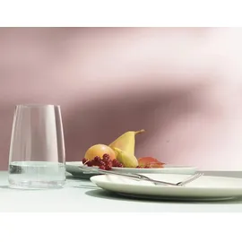 Schott Zwiesel Vivid Senses Wasser- & Saftglas 0,5 l 4 St.