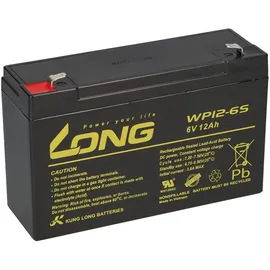 KungLong AGM BLEI AKKU Batterie 6V 12Ah kompatibel für USV BLEIGEL Gel + LADEGERÄT