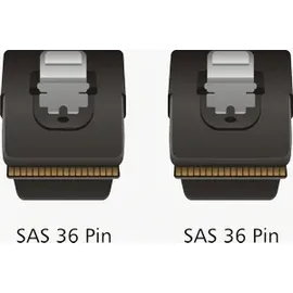 DeLock mini SAS