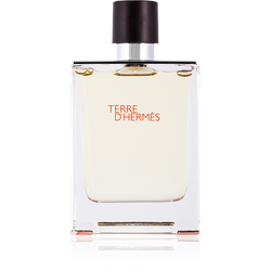 Hermes Terre D ́Hermes Eau de Toilette 100 ml