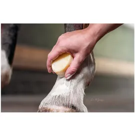 Bense & Eicke HaarFein Seife für Mähne, Schweif und Fell 100 g