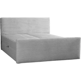 kaiser möbel Boxspringbett mit bettkasten und topper 160x200 TRENTO stoff Plüsch Cord Hellgrau H3-Bonell - Hellgrau