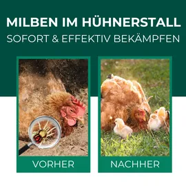 Silberkraft Milbenspray 2000 ml