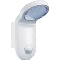ESYLUX LED-Strahler AOL 100 LED 5K ws