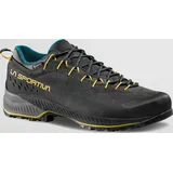 La Sportiva Herren TX4 Evo GTX Schuhe (Größe 47, schwarz)