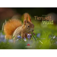 Ackermann Tierwelt Wald Kalender 2026