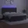 vidaXL Boxspringbett mit Matratze & LED Dunkelgrau 180x200 cm Samt