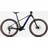 2026 29 Zoll tanzanite/blue gloss XL