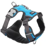 Red Dingo Gepolstertes Geschirr, Größe XS, Türkis, DH-PH-TQ-XS