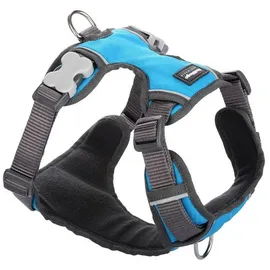 Red Dingo Gepolstertes Geschirr, Größe XS, Türkis, DH-PH-TQ-XS