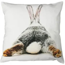 Mars & More Kissen Labrador 33 x 33 cm Braun