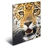 HERMA Sammelmappe Tiere A3 leopard