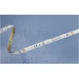 BARTHELME LED-Streifen 51540433 12 W Neutralweiß 500 cm 1 St.