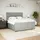 vidaXL Boxspringbett mit Matratze Hellgrau 180x200 cm Samt