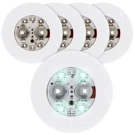 Spetebo Flaschenlicht Kalt Weiß 5 St.