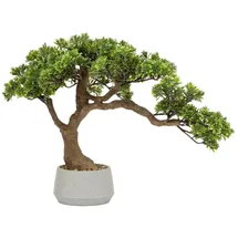 Atmosphera Créateur d'intérieur Atmosphera - Künstlicher Bonsai im Topf polin keramiktopf grün h45cm