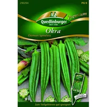Quedlinburger Okra ''Clemson Spineless''