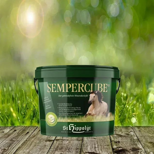 St. Hippolyt Semper Cube 10  kg - Der praktische, getreide- & glutenfreie Mineralwürfel für Weide und Stall