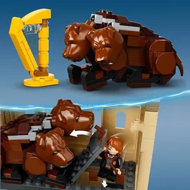 LEGO Harry Potter Hogwarts: Begegnung mit Fluffy 76387